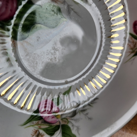 ROYAL ADDERLEY Canadian Provincial Flowers LADYSLIPPER Saucer  Only Bone China - Picture 4 of 12